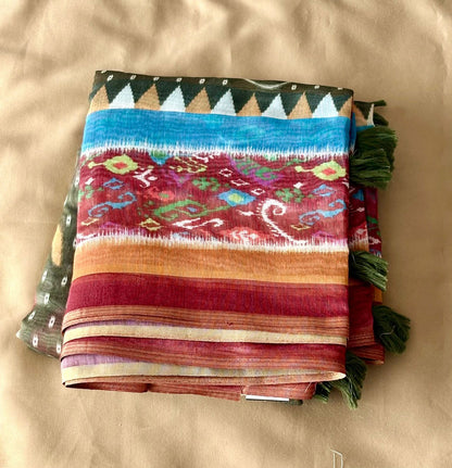 Beach Patola Saree