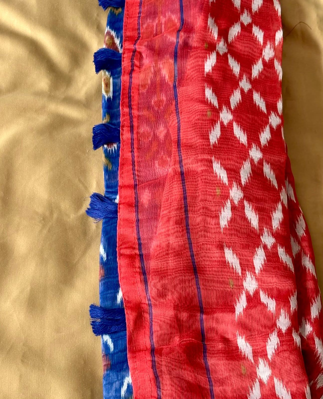 Beach Patola Saree
