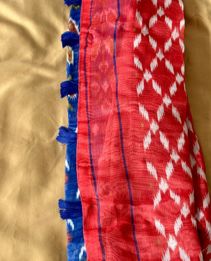 Beach Patola Saree